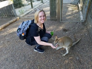 Feeding a Kangaroo Travel Agency Review