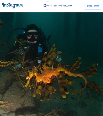 Dive with Leafy Sea Dragon South Australia