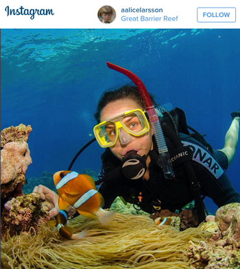 Find Nemo on the Great Barrier Reef. Travel to Australia. 