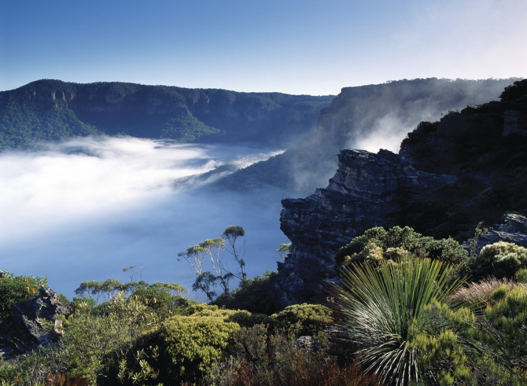 Jamison Valley Things to Do in the Blue Mountains Sydney New South Wales Australia