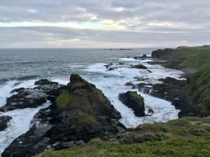 Phillip Island Travel Agent Review