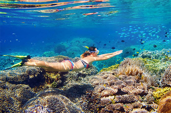 Girl snorkeling the Great Barrier Reef