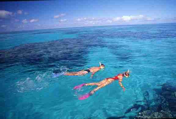 Port Douglas Great Barrier Reef Snorkeling