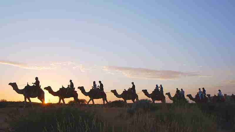 Sunset-Camel-Ride-Uluru-National-Park