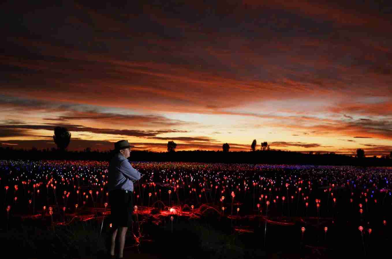 Field of Light - Ayers Rock -Uluru - Credit - Voyages