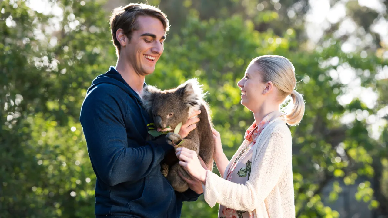 Couple holding a koala