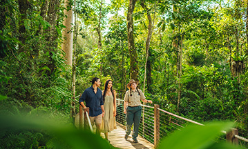 Daintree Rainforest, Australia. Photo Credit: Tourism & Events Queensland