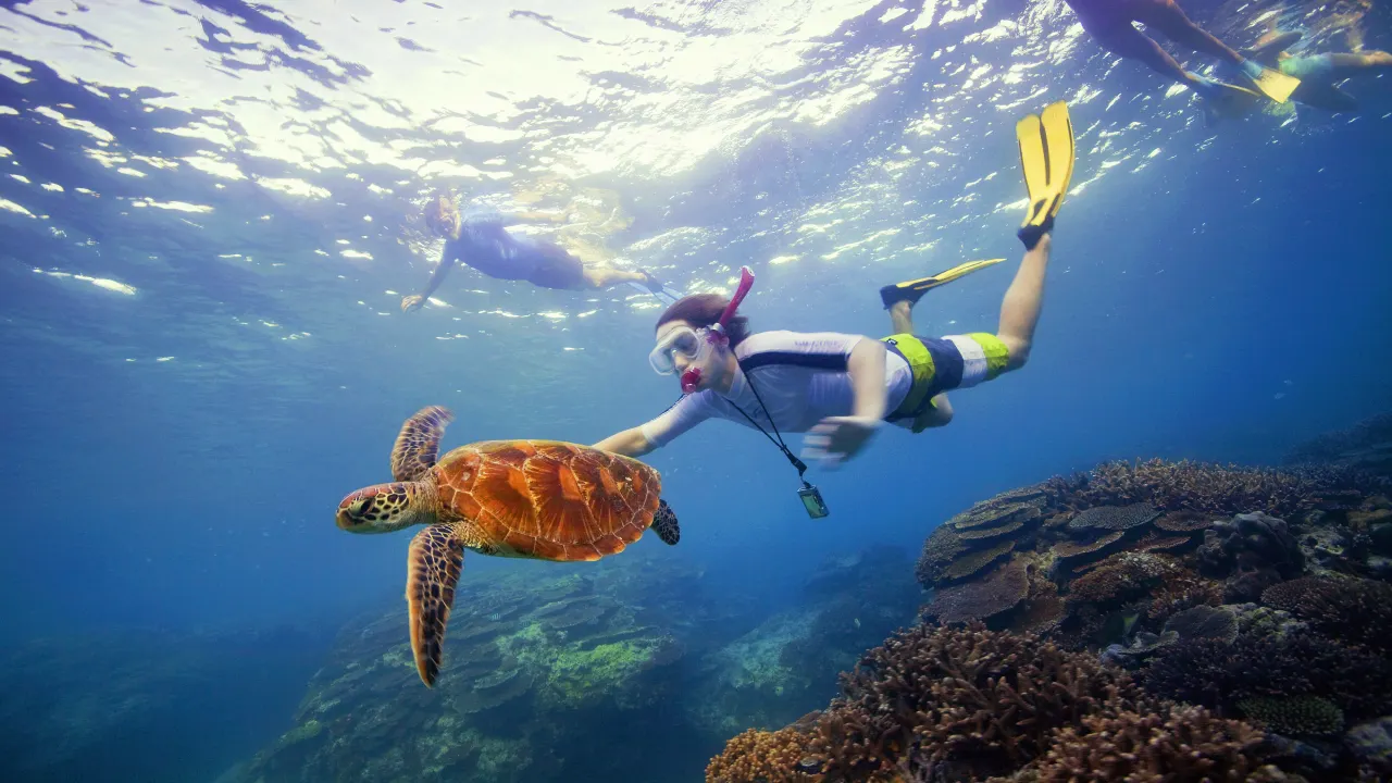 Snorkeling at the Great Barrier Reef