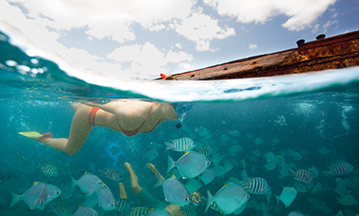 Swimming at Moreton Island. Photo Credit: Tourism & Events Queensland
