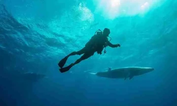 Swim with minke whales in Australia