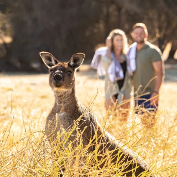 Kangaroo Island. Photo Credit: Tourism Australia