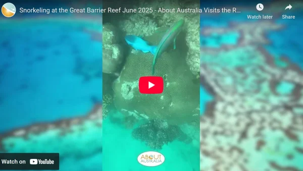 Visiting the Great Barrier Reef